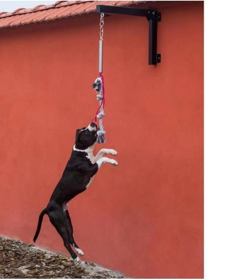 Sustainable Steel Spring Pole Durable and Stimulating Rope Toy for Pitbull Strong Dog