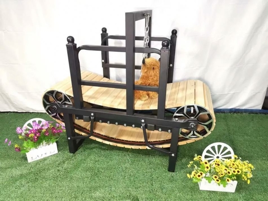 Upgrade Your Dog's Exercise Routine with Our Pet Treadmill Dogs Love It