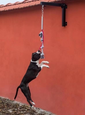 High Load-bearing Dog Spring Pole for Training Shipping to Shanghai or Nanjing Port