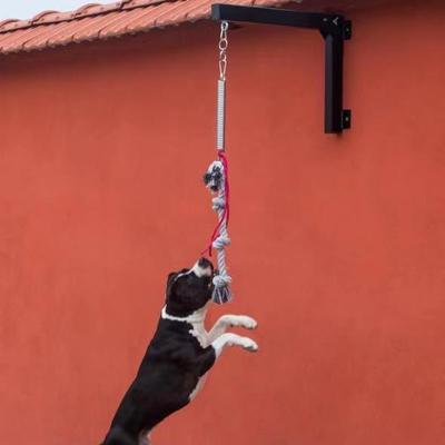 Steel Dog Spring Pole Set Strong and Durable Exercise Equipment for Pets