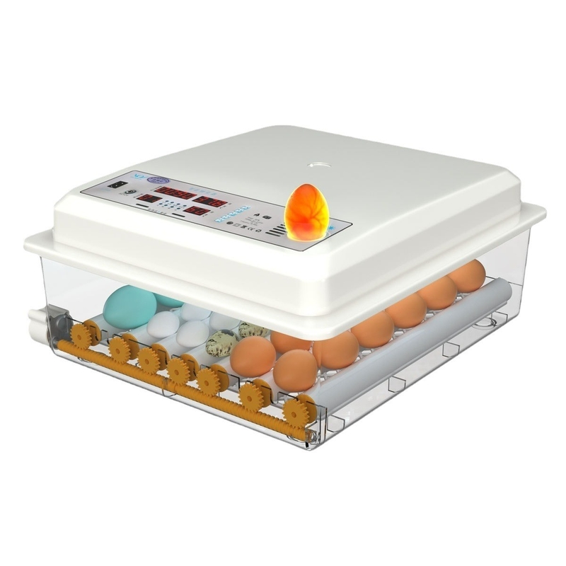 Shanghai or Nanjing Port Home Incubator for Hatching Chicken Duck Goose and Pigeon Eggs