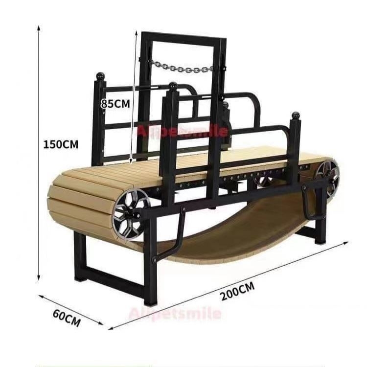 REPTILES Dog Treadmill for Large Breeds Improve Your Pet's Fitness and Behavior