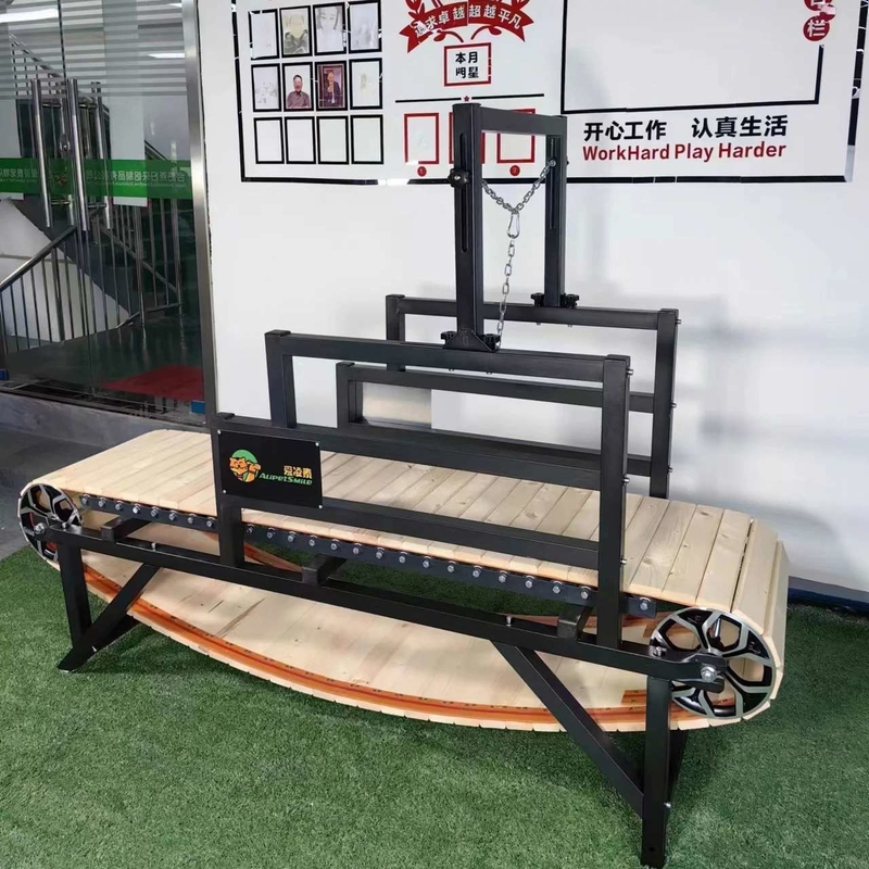 1 Kilowatt Maximum Horsepower Pet Treadmill Convenient and Affordable for Active Pets
