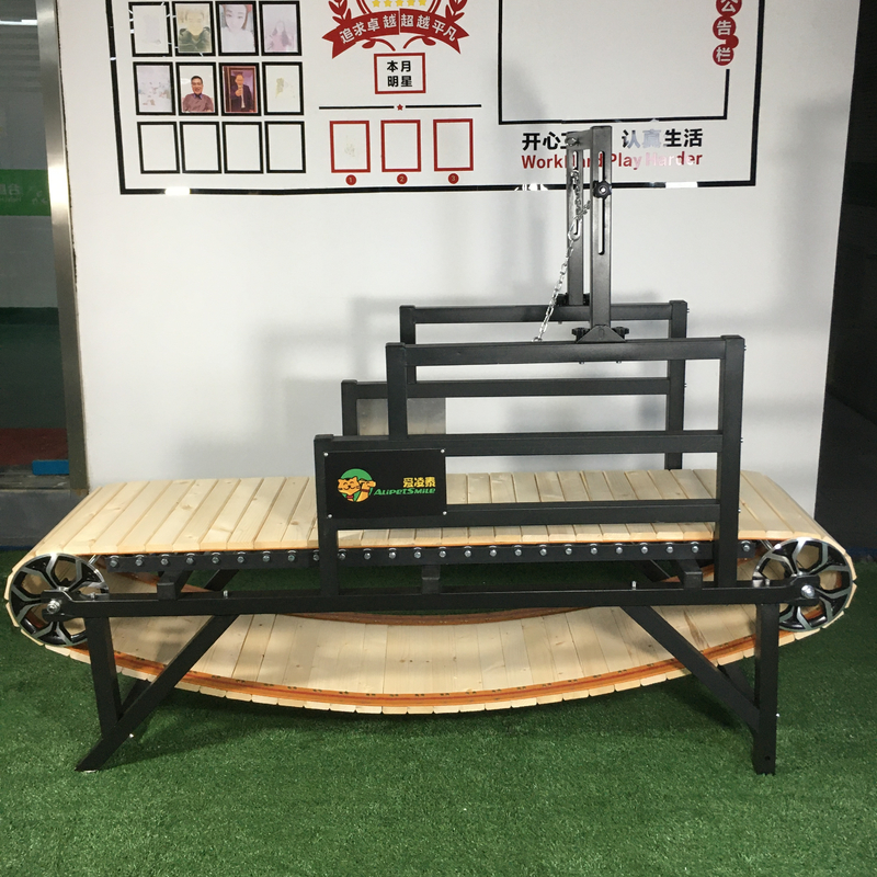 Customized Size Pet Treadmill Ideal for Dogs' Training and Exercise Progress