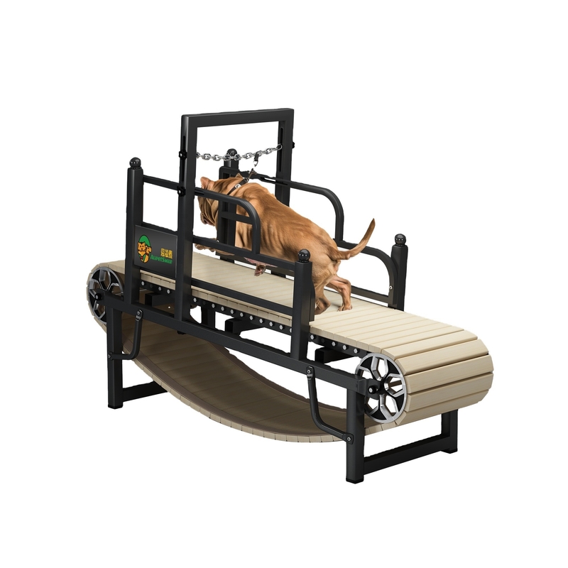 Small Animals Unpowered Dog Running Treadmill Train for Success and Behavior Improvement