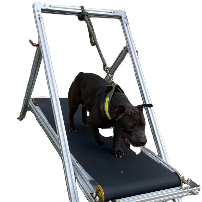 Dog Exercise Slatmill Pets Treadmill Walking Machine for Pit Bull Stocked Carpet Mill