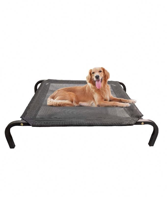 Electrophoresis Large Size Steel Tube Folding Pet Bed Pet Cot Elevated Dog Bed Mesh Bed