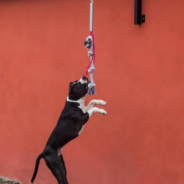 Large Dog Spring Pole Set Heavy-Duty and Sustainable for Dogs up to 105lbs/210lbs