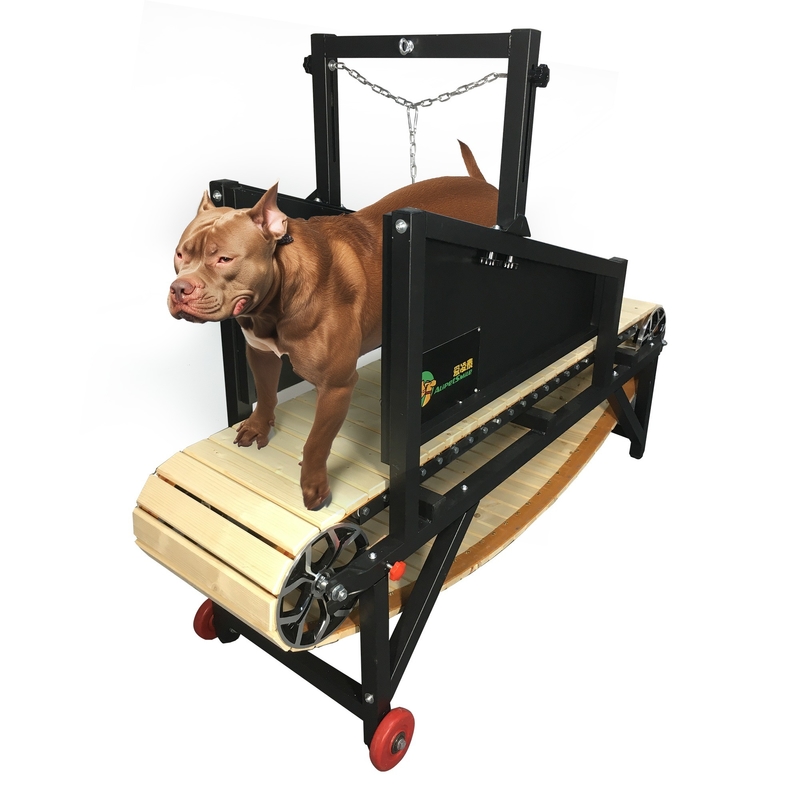 Maximize Your Dog's Performance Lightweight Slatmill for Indoor Outdoor Training