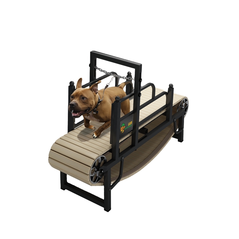 Custom Noiseless Pet Dog Treadmill for Small Medium or Large Dogs Powder Coating Finish