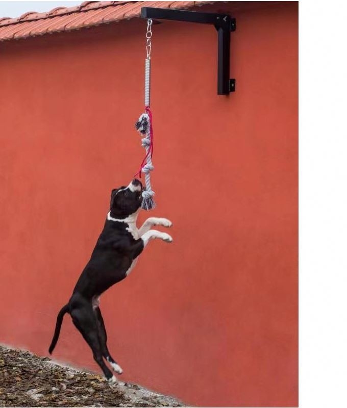 Pitbulls Spring Pole Support Dogs Item Type Others with Sturdy Construction