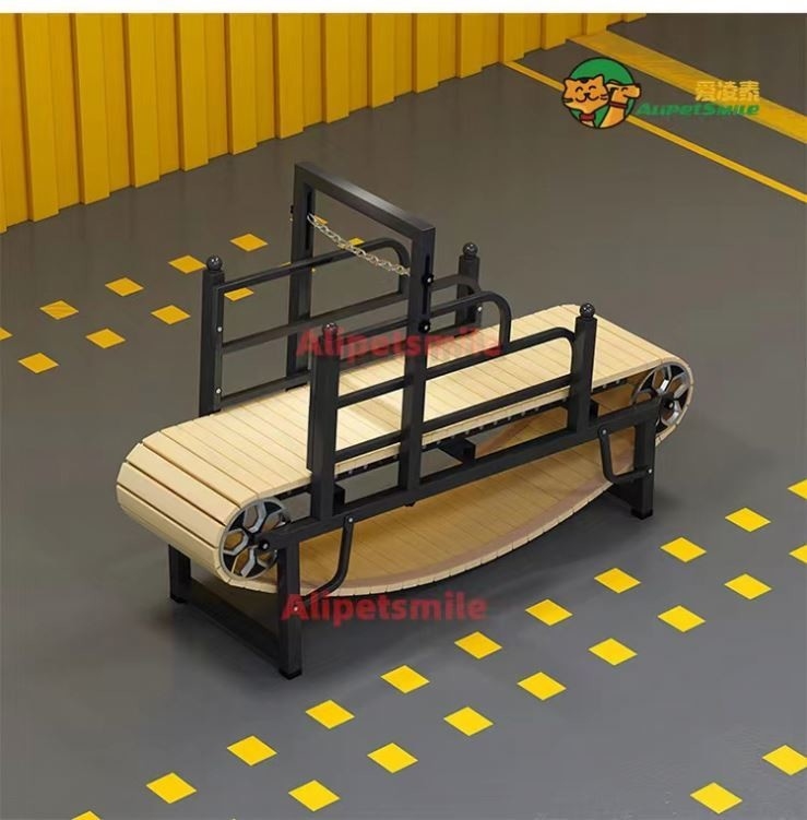 Large Dog Treadmill for Optimal Exercise Anodizing Powder Coating or Electrophoresis